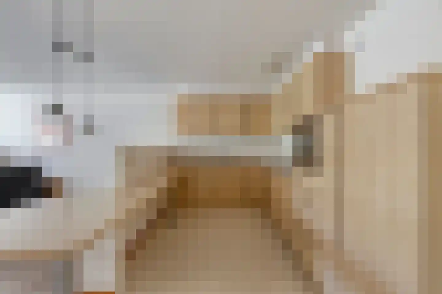 Tartinistraat 29 Eindhoven thumbnail 17