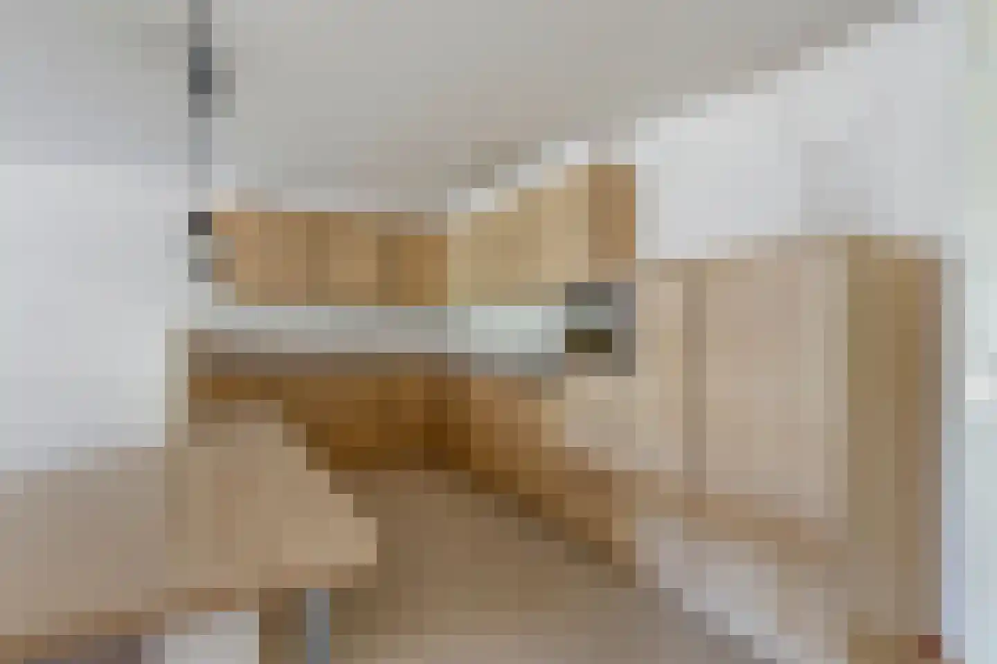 Tartinistraat 29 Eindhoven thumbnail 18