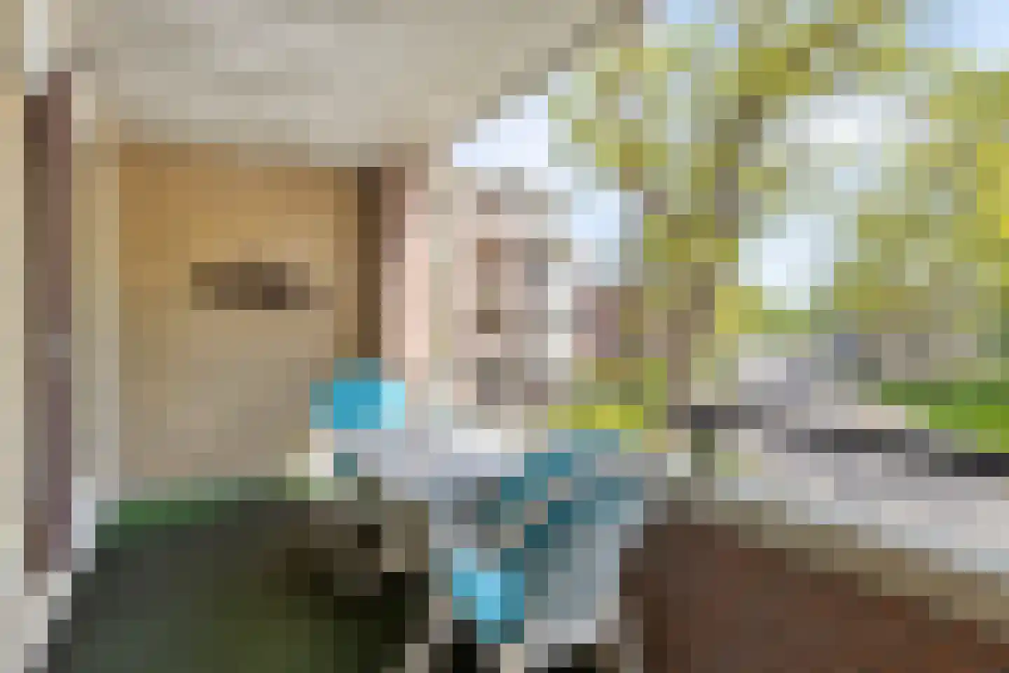 Tartinistraat 29 Eindhoven thumbnail 24