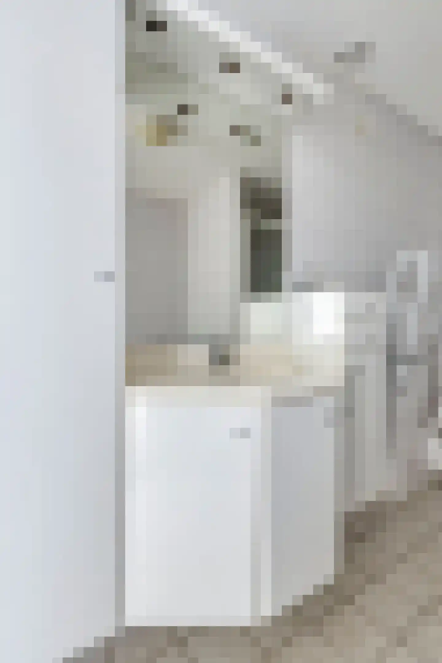 Tartinistraat 29 Eindhoven thumbnail 27