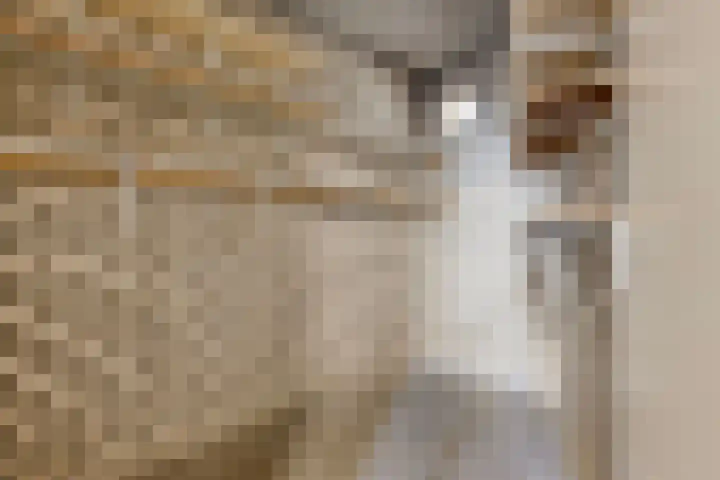 Tartinistraat 29 Eindhoven thumbnail 34