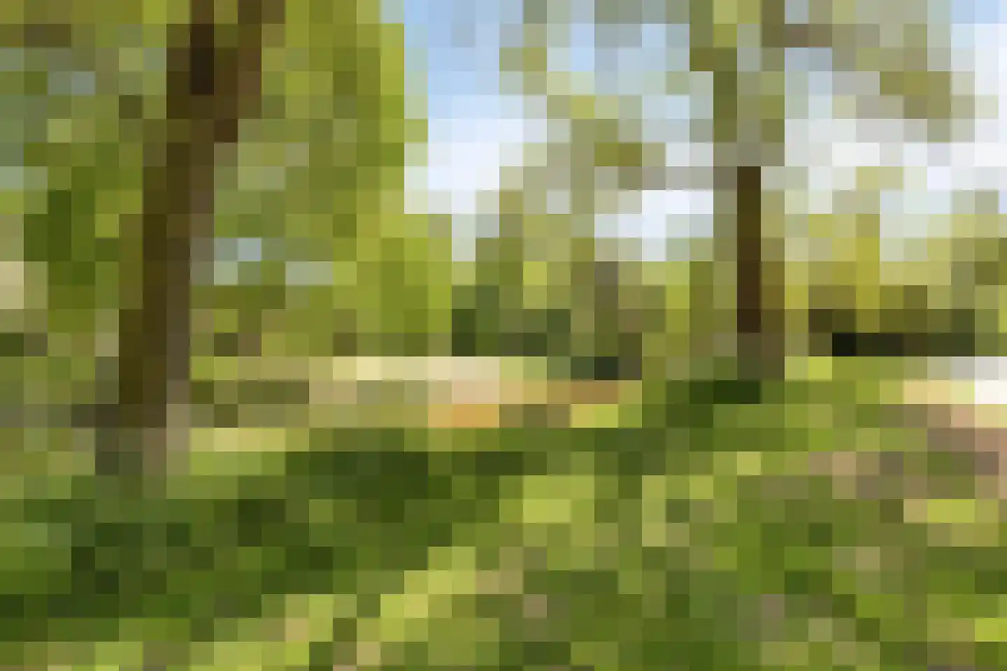 Tartinistraat 29 Eindhoven thumbnail 38