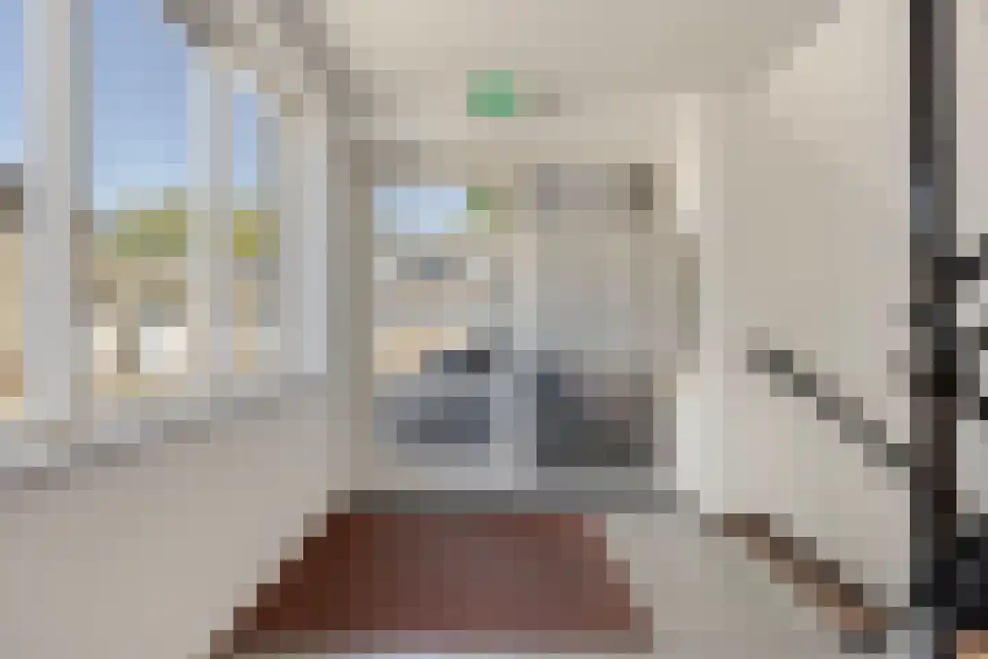 Tartinistraat 29 Eindhoven thumbnail 6