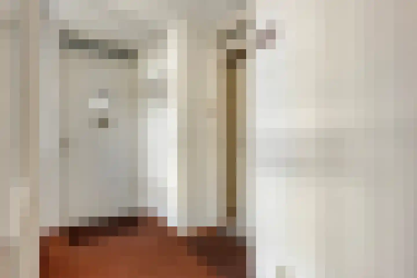 Tartinistraat 29 Eindhoven thumbnail 9