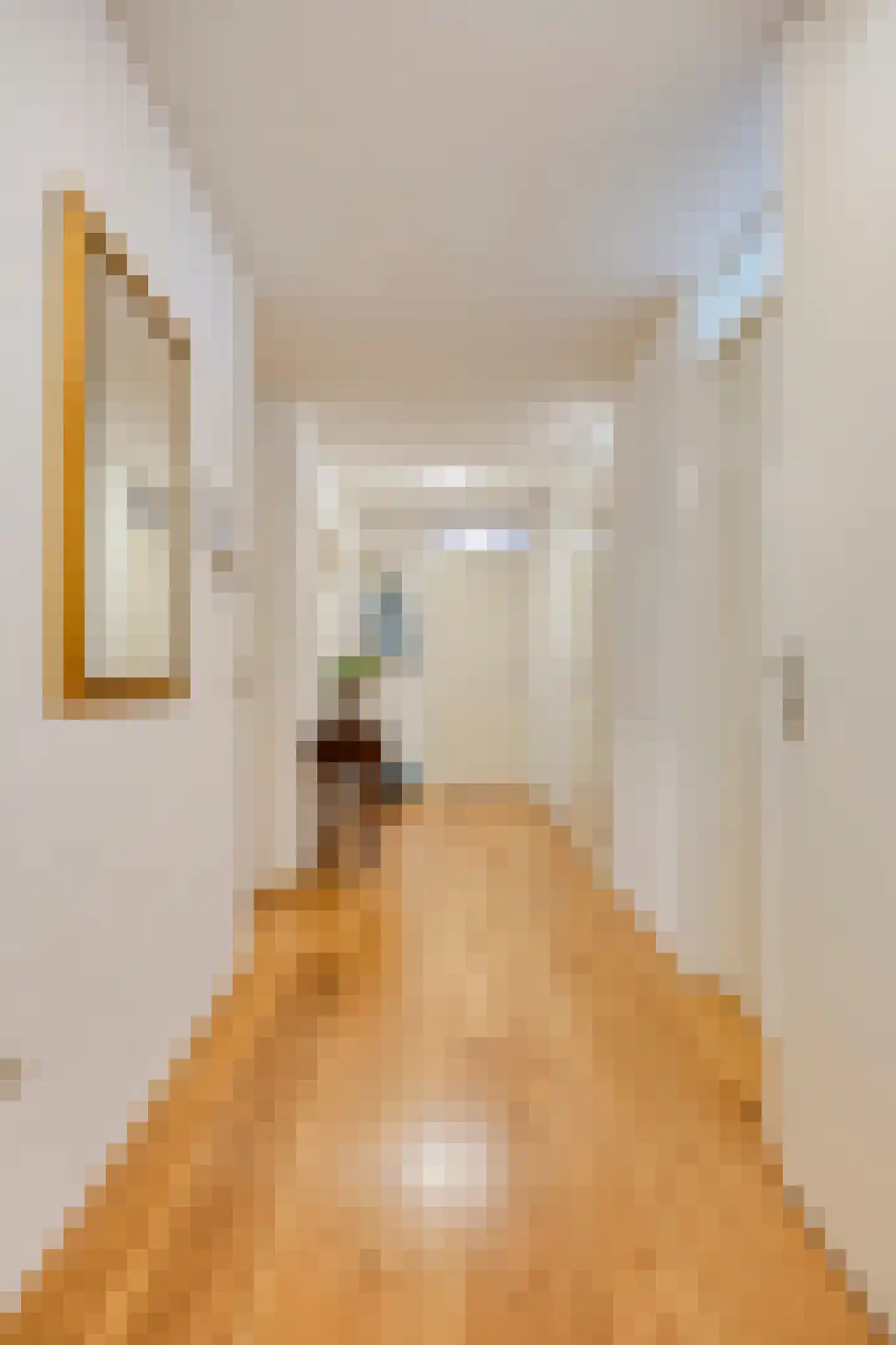 Tartinistraat 53 Eindhoven thumbnail 10