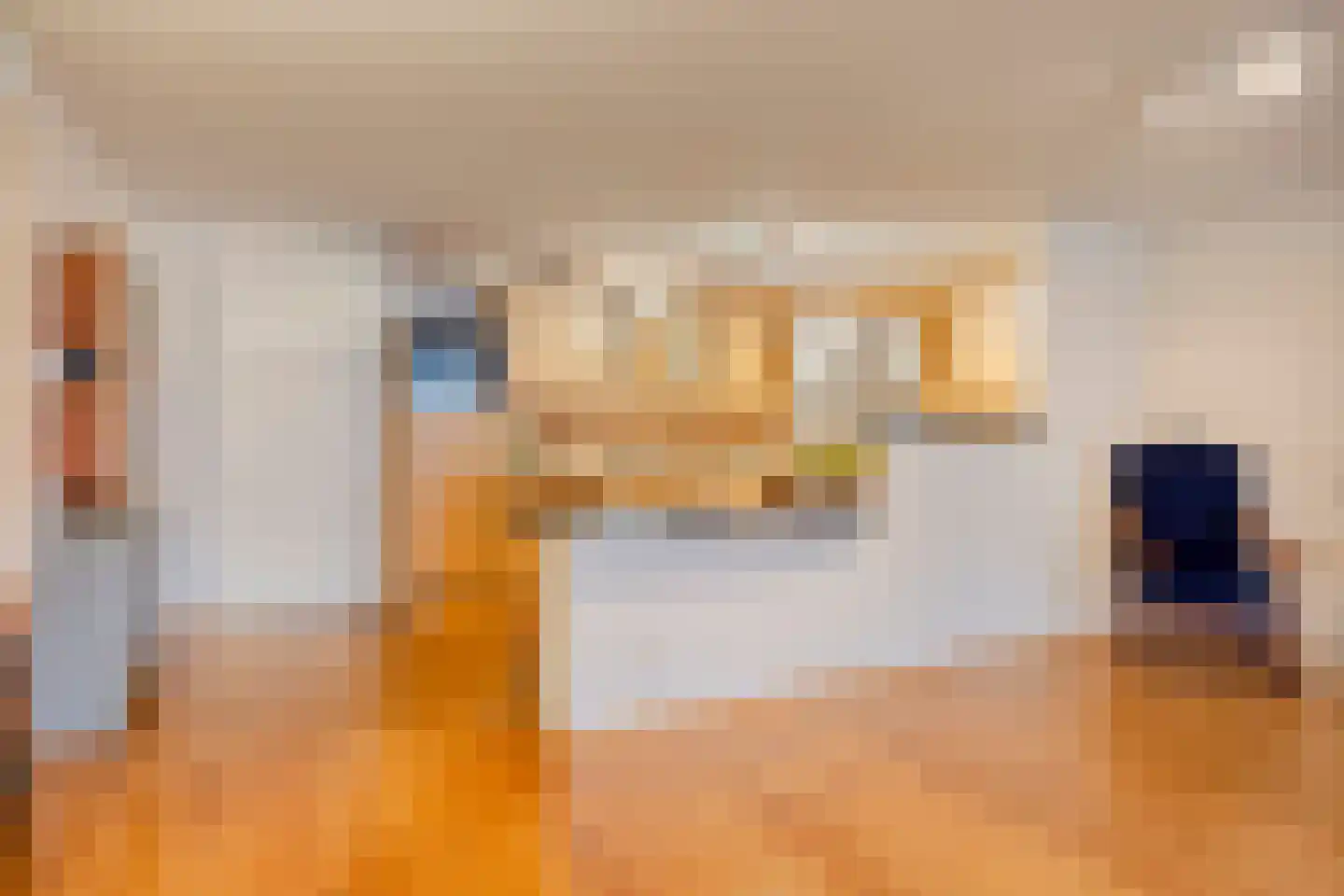 Tartinistraat 53 Eindhoven thumbnail 22