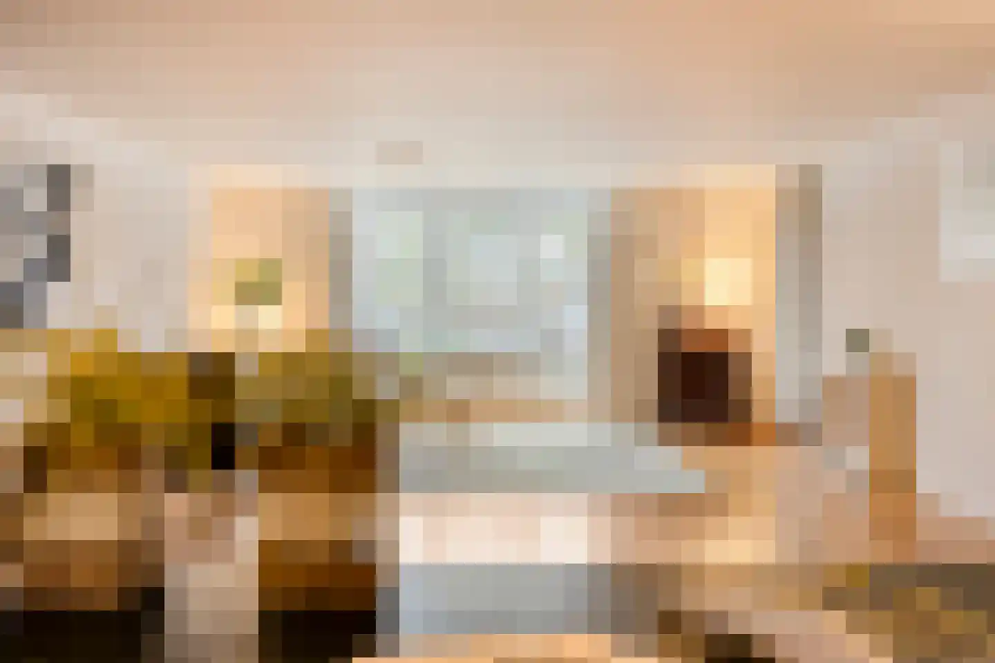 Tartinistraat 53 Eindhoven thumbnail 29