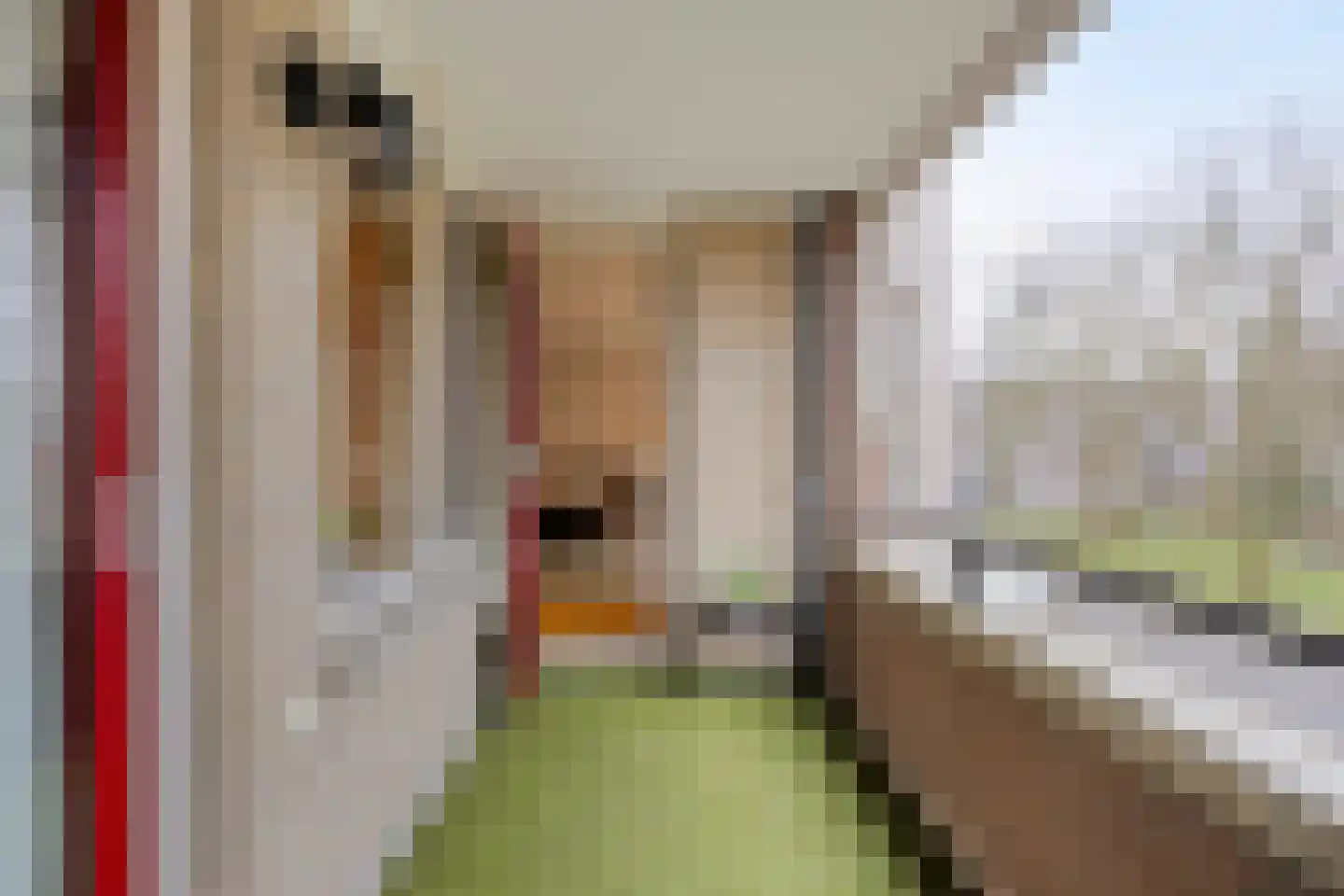 Tartinistraat 53 Eindhoven thumbnail 30