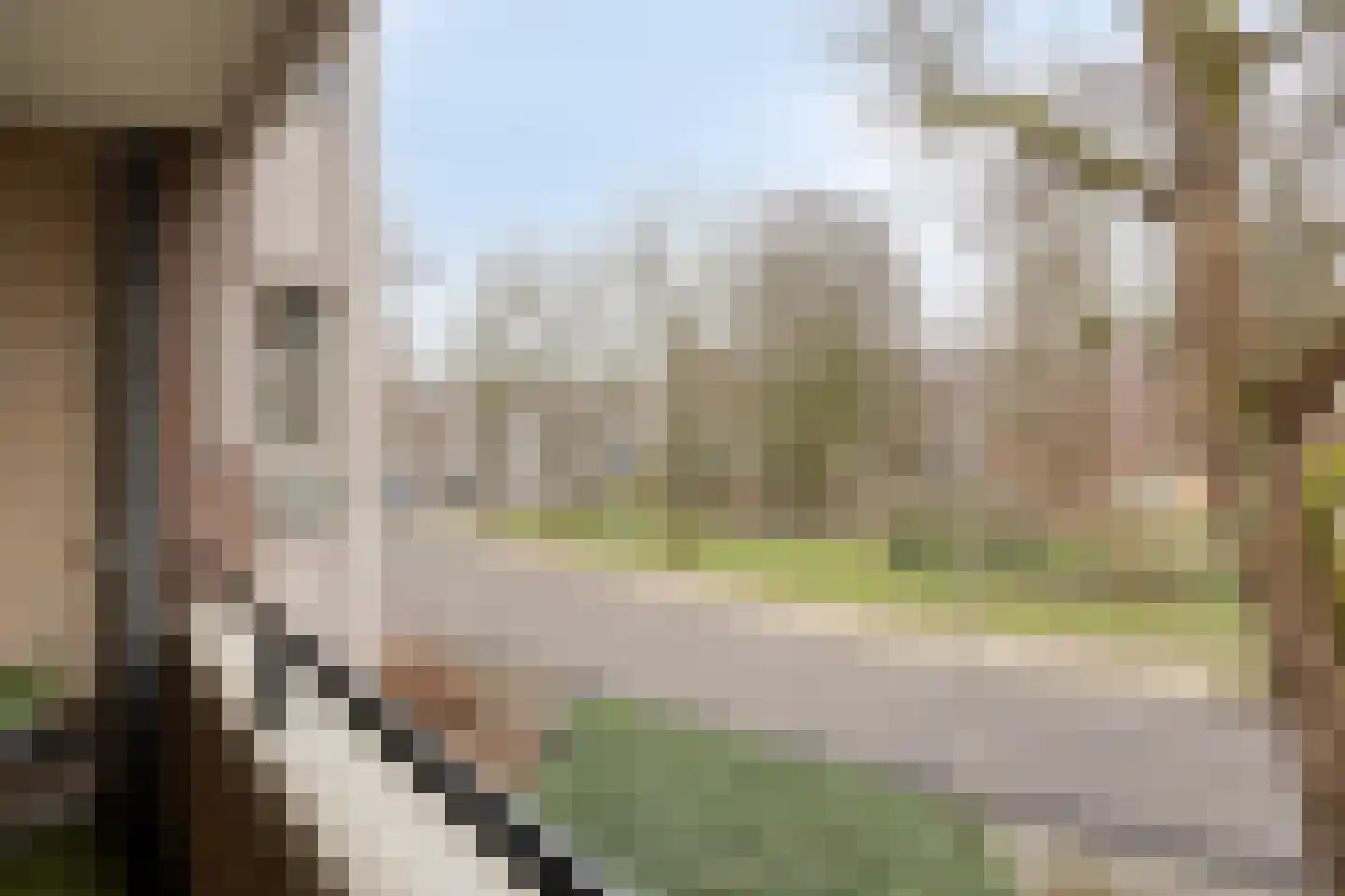 Tartinistraat 53 Eindhoven thumbnail 32