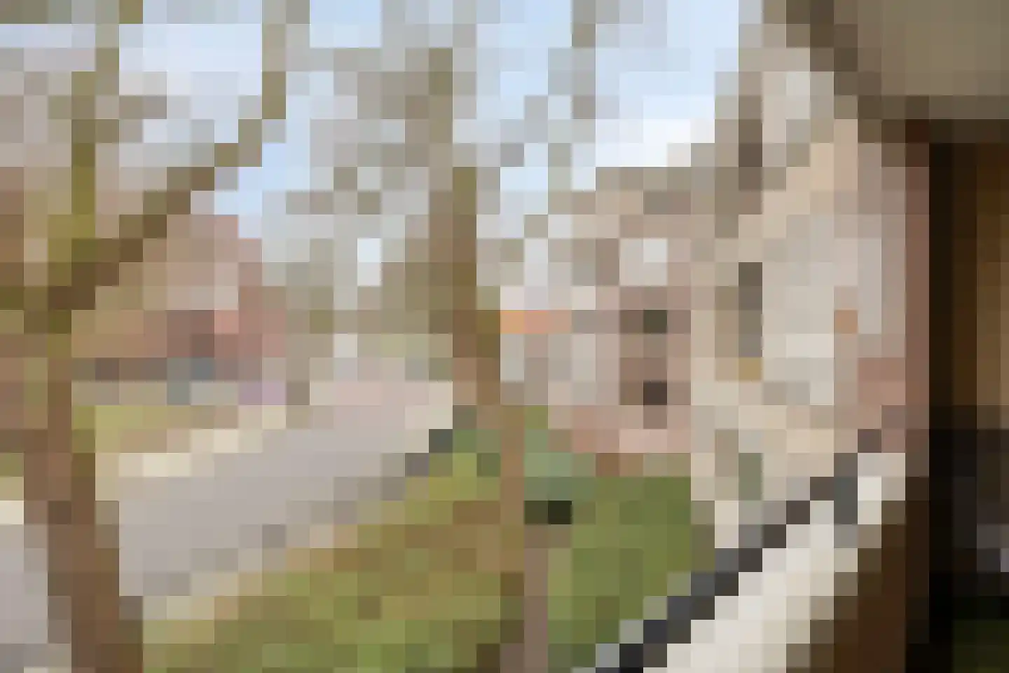 Tartinistraat 53 Eindhoven thumbnail 33