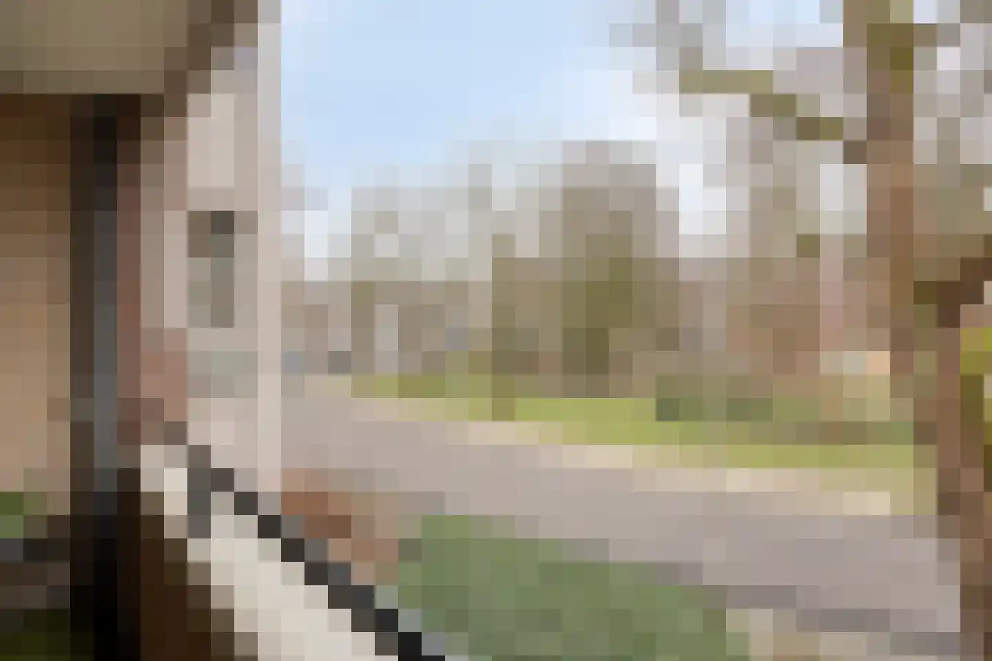 Tartinistraat 53 Eindhoven thumbnail 33