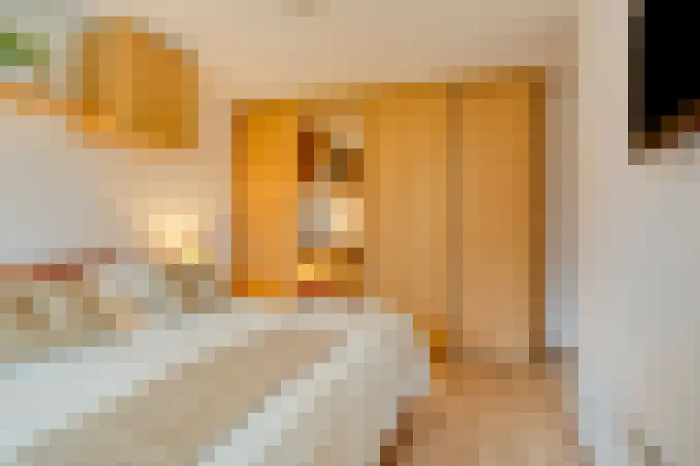 Tartinistraat 53 Eindhoven thumbnail 33