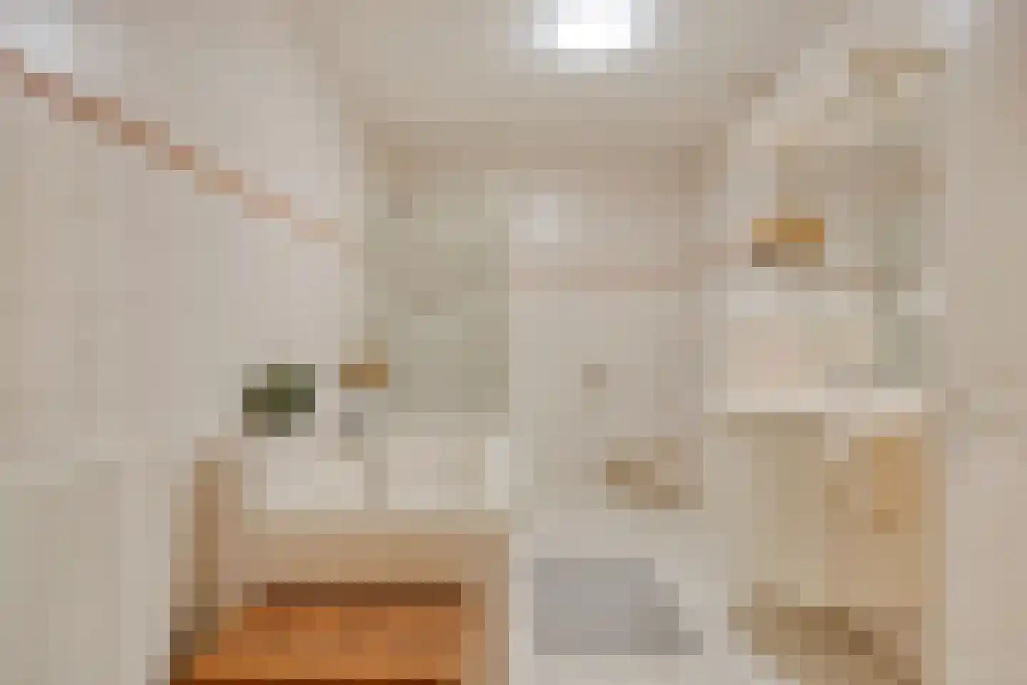 Tartinistraat 53 Eindhoven thumbnail 34