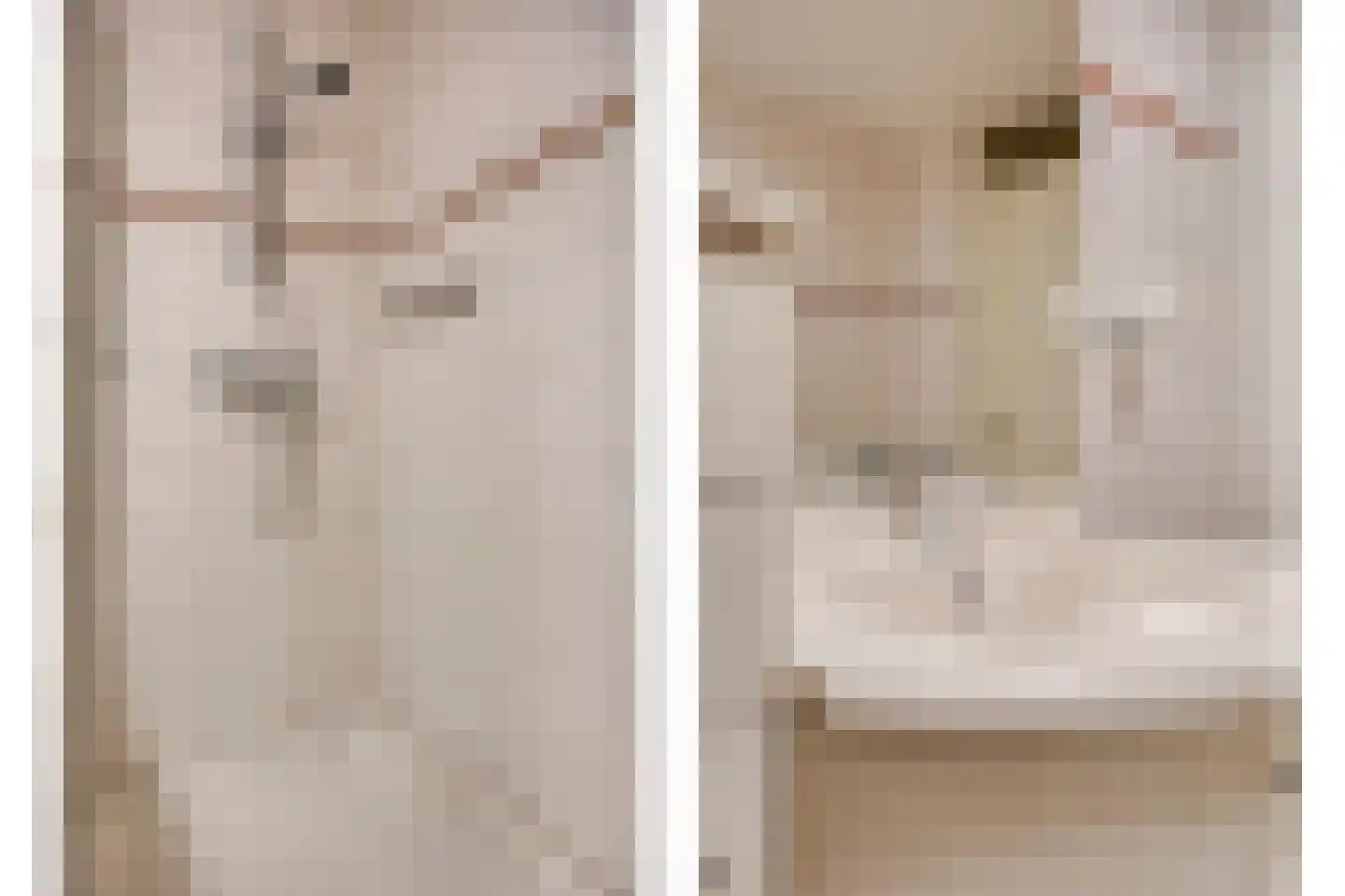 Tartinistraat 53 Eindhoven thumbnail 38