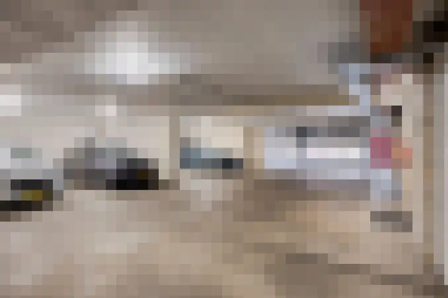 Tartinistraat 53 Eindhoven thumbnail 44