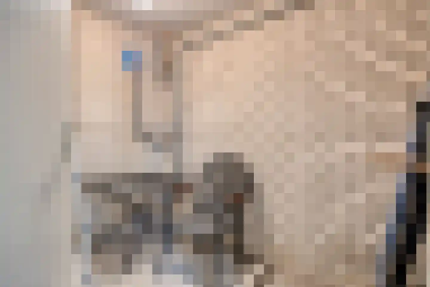 Tartinistraat 53 Eindhoven thumbnail 45