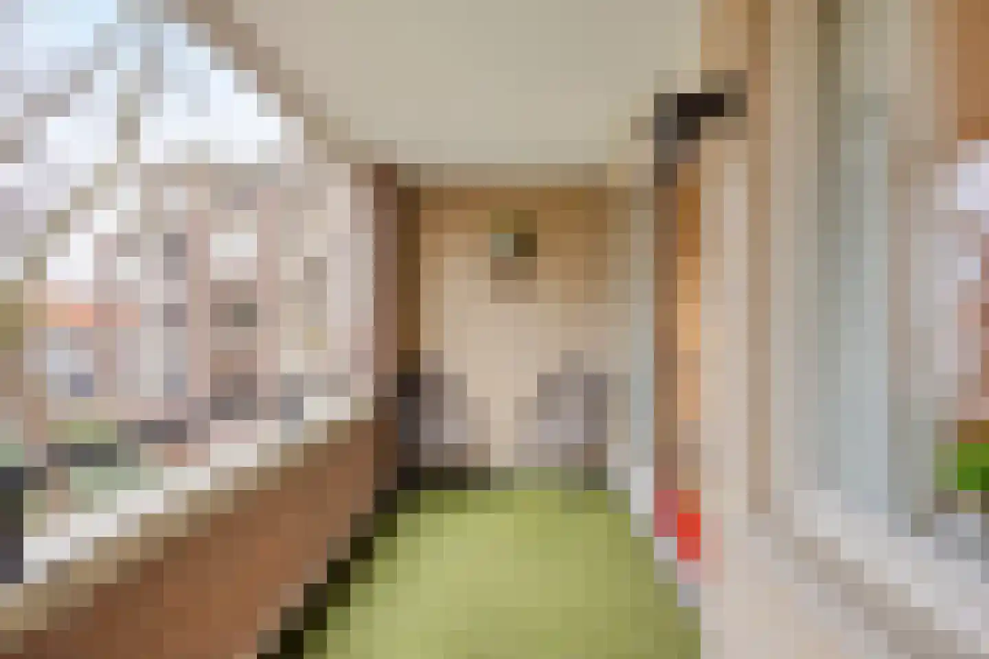 Tartinistraat 53 Eindhoven thumbnail 5