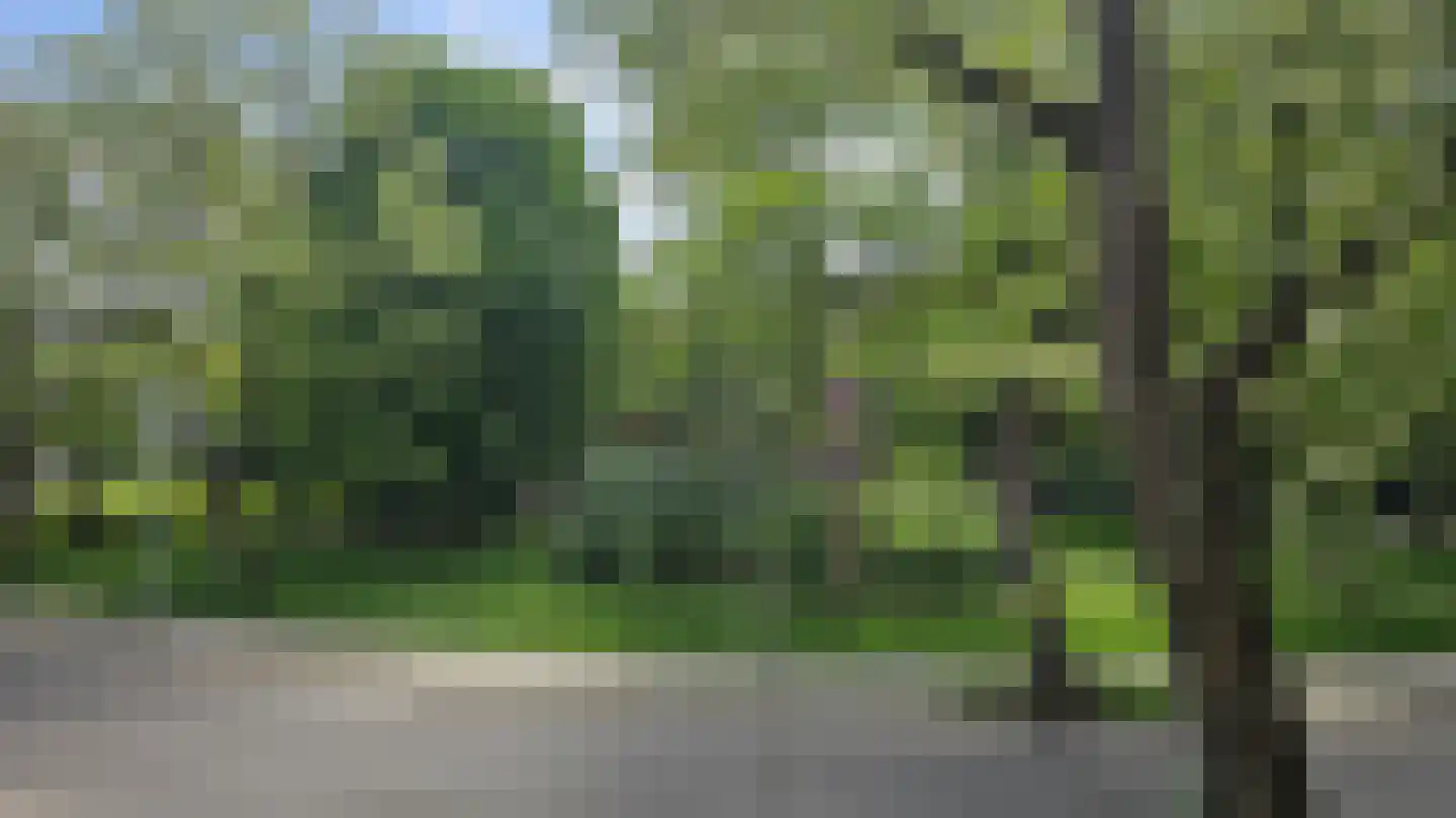 Tartinistraat 53 Eindhoven thumbnail 53