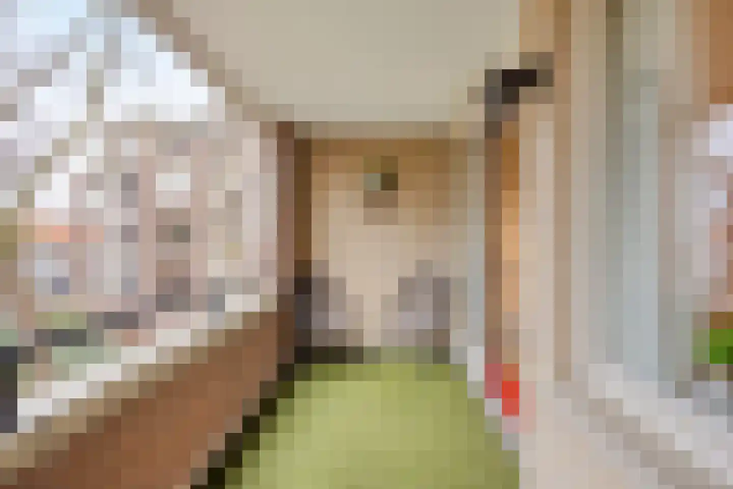 Tartinistraat 53 Eindhoven thumbnail 8