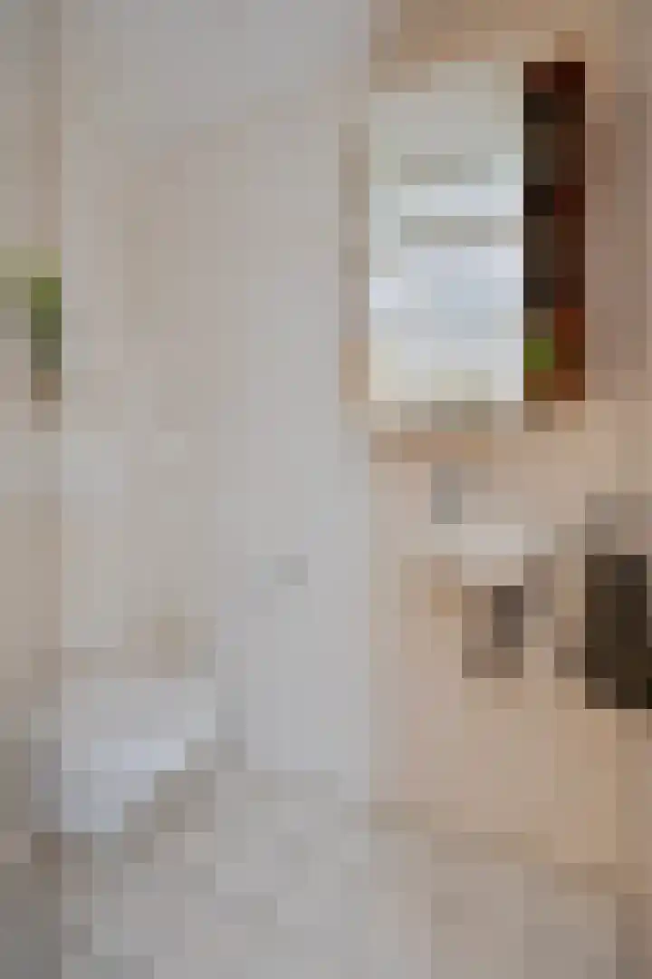 Tartinistraat 63 Eindhoven thumbnail 13