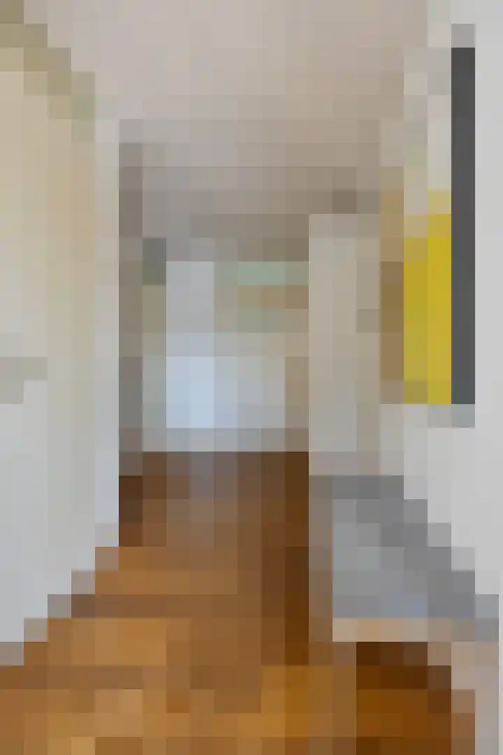 Tartinistraat 63 Eindhoven thumbnail 14