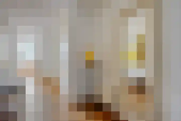 Tartinistraat 63 Eindhoven thumbnail 15