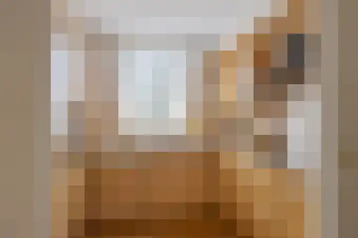 Tartinistraat 63 Eindhoven thumbnail 16