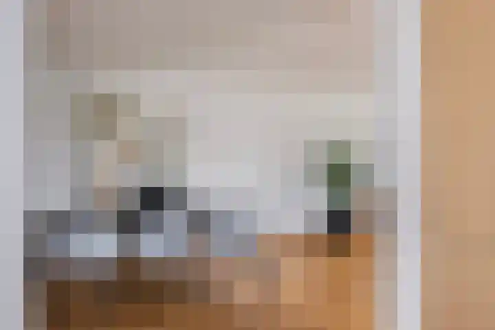 Tartinistraat 63 Eindhoven thumbnail 17