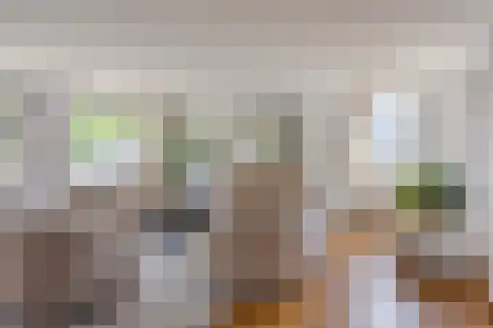 Tartinistraat 63 Eindhoven thumbnail 18