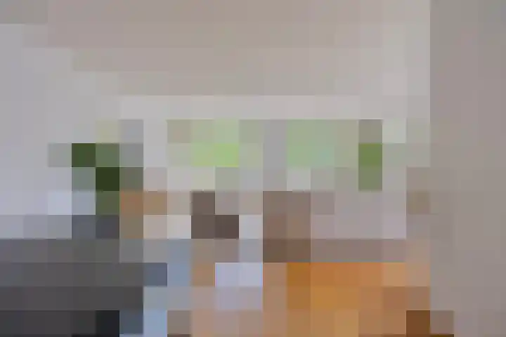 Tartinistraat 63 Eindhoven thumbnail 19