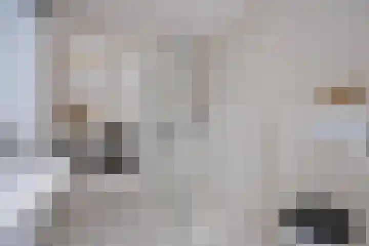 Tartinistraat 63 Eindhoven thumbnail 21