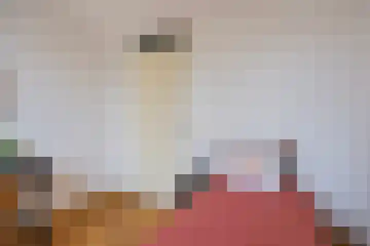 Tartinistraat 63 Eindhoven thumbnail 24