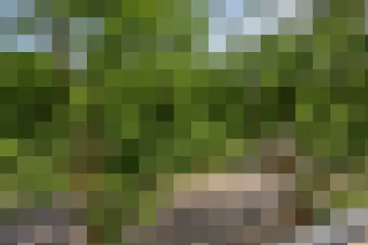 Tartinistraat 63 Eindhoven thumbnail 27