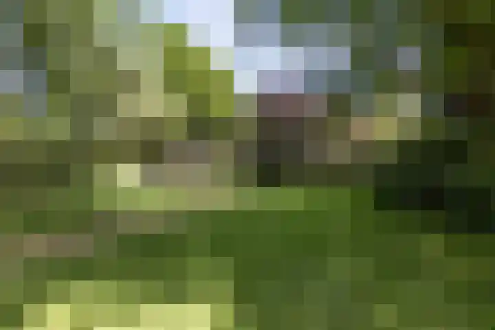 Tartinistraat 63 Eindhoven thumbnail 30