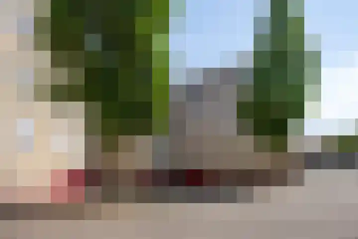 Tartinistraat 63 Eindhoven thumbnail 7