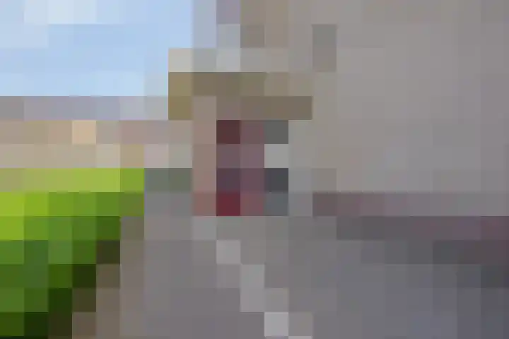 Tartinistraat 63 Eindhoven thumbnail 9
