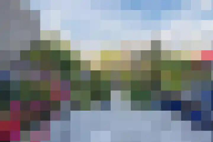 Tartwijck 101 Sint-Oedenrode thumbnail 12