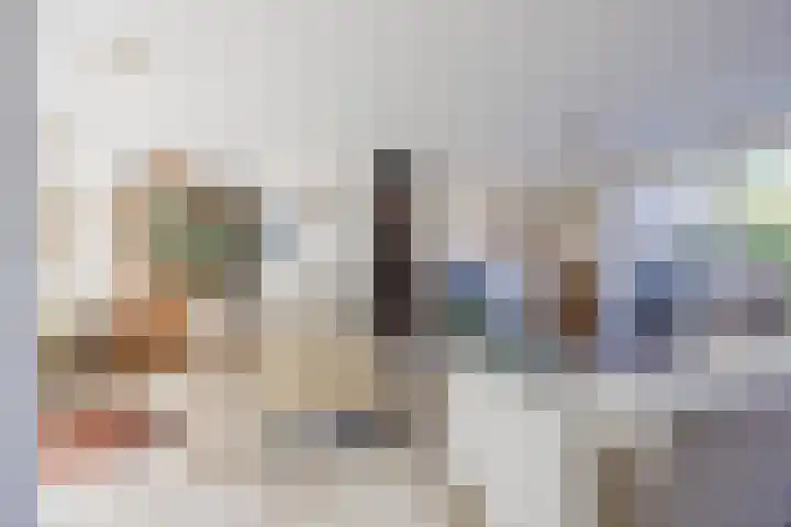 Tartwijck 101 Sint-Oedenrode thumbnail 17