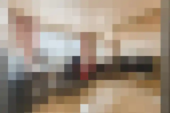 Tartwijck 101 Sint-Oedenrode thumbnail 36