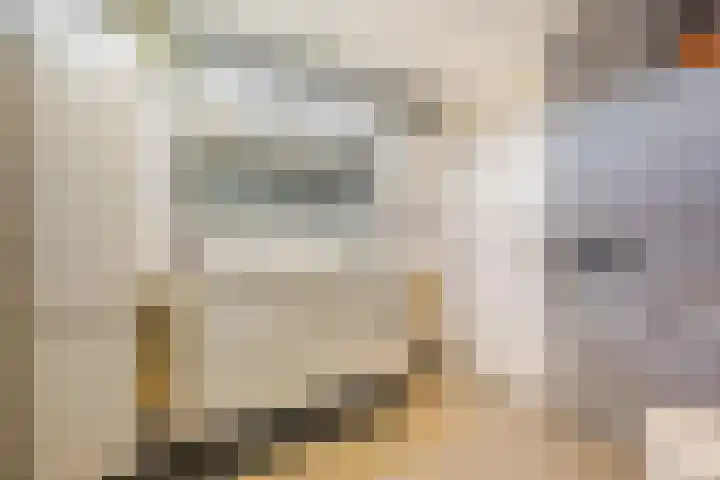 Tartwijck 101 Sint-Oedenrode thumbnail 39