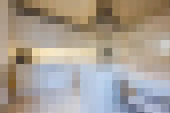 Tartwijck 101 Sint-Oedenrode thumbnail 4