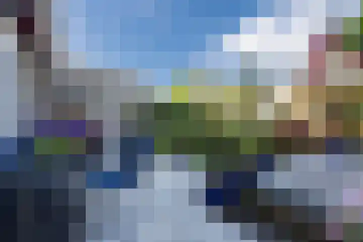 Tartwijck 101 Sint-Oedenrode thumbnail 47