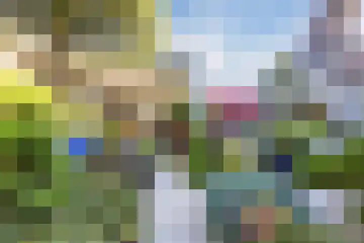 Tartwijck 101 Sint-Oedenrode thumbnail 49