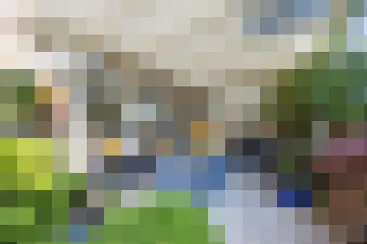 Tartwijck 101 Sint-Oedenrode thumbnail 50