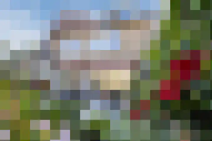 Tartwijck 101 Sint-Oedenrode thumbnail 52