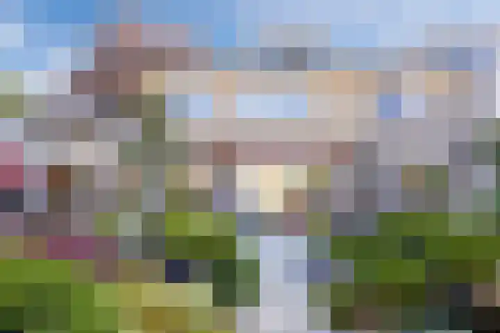 Tartwijck 101 Sint-Oedenrode thumbnail 53