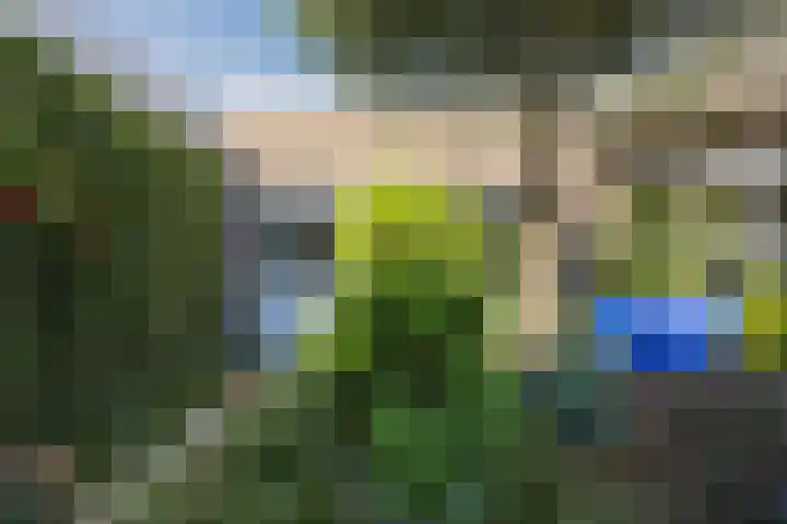 Tartwijck 101 Sint-Oedenrode thumbnail 54