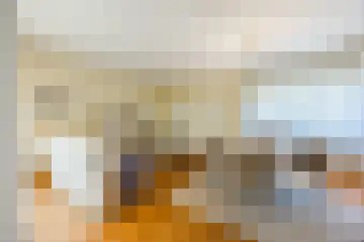 Tartwijck 101 Sint-Oedenrode thumbnail 6