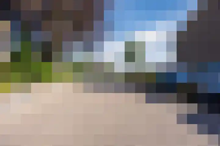 Tartwijck 101 Sint-Oedenrode thumbnail 61