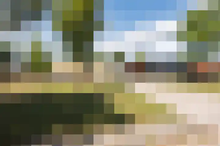 Tartwijck 101 Sint-Oedenrode thumbnail 62